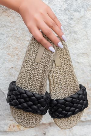 Crocus Siyah  Terlik   C-4